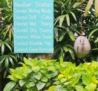 Bali Chillhouse Travel Blog Review
