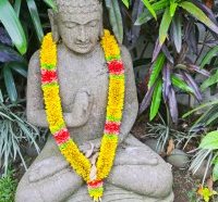 Bali Chillhouse Travel Blog Review
